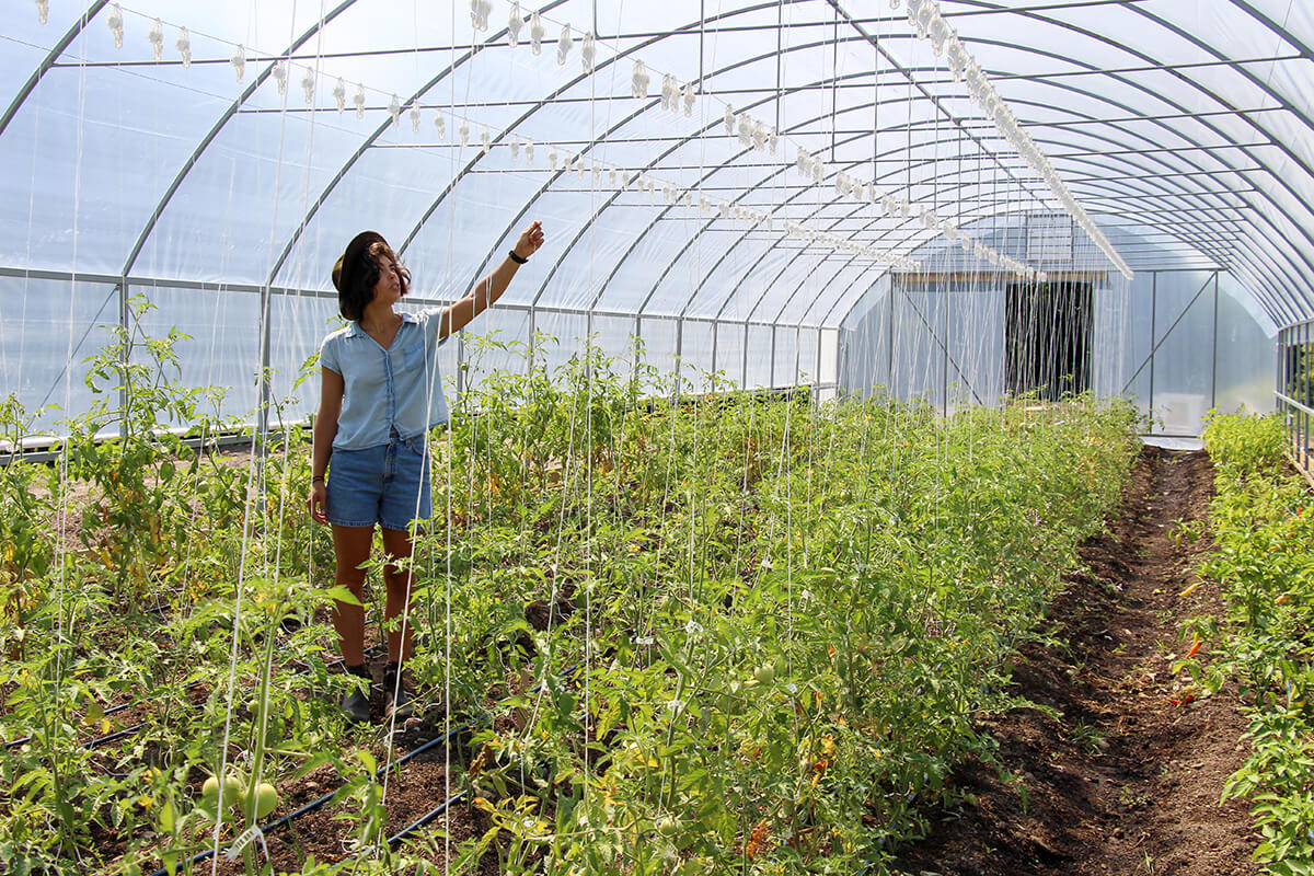 Cornell University agriculture research
