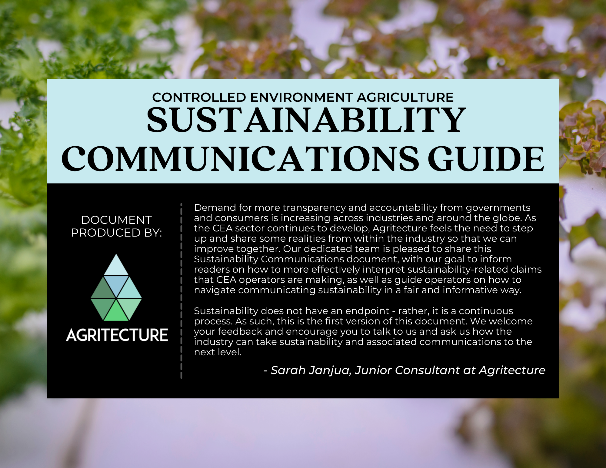 External+Sustainability+Communications+Doc