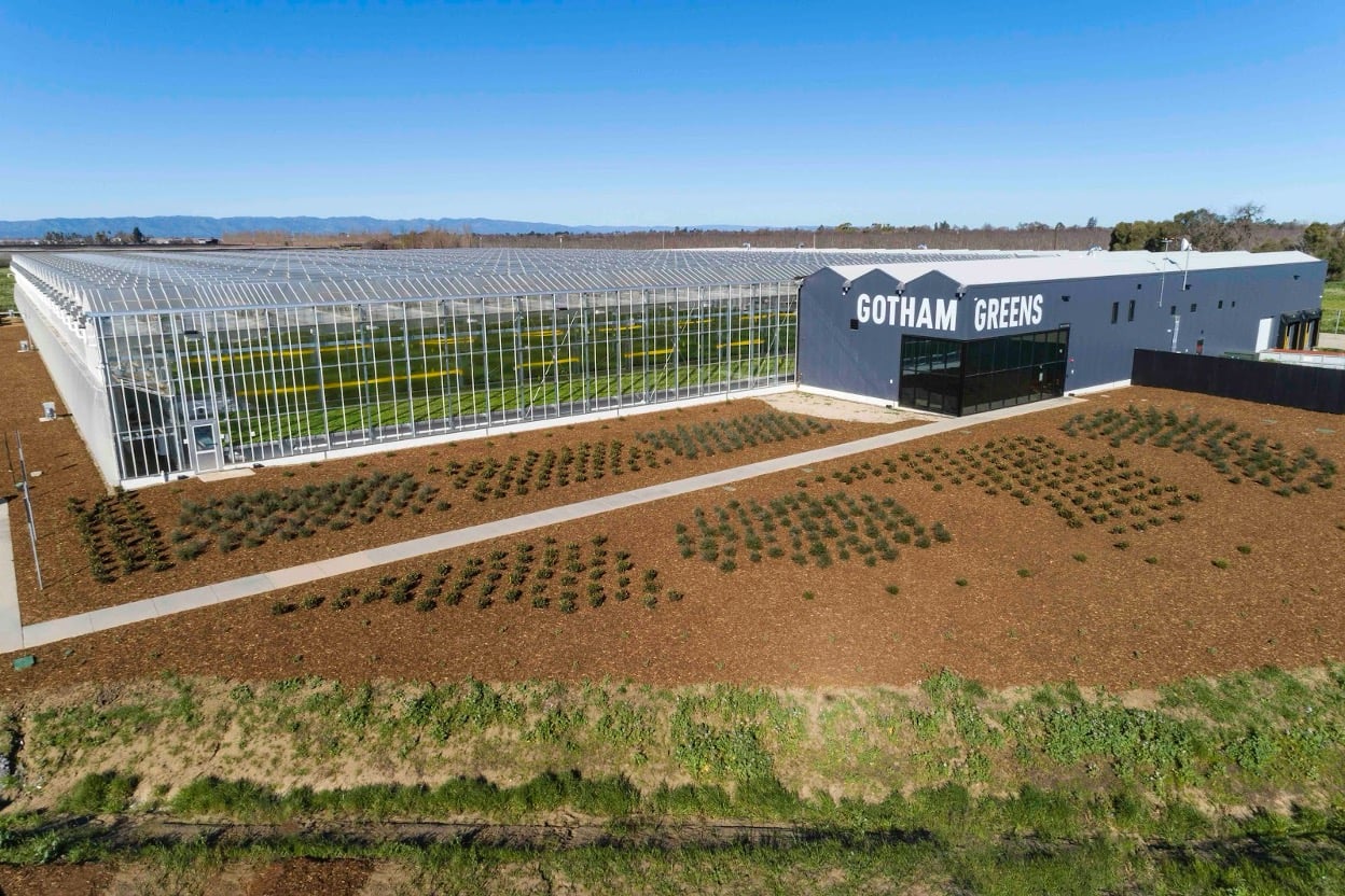 The Case for Investing in Greenhouses in the United States