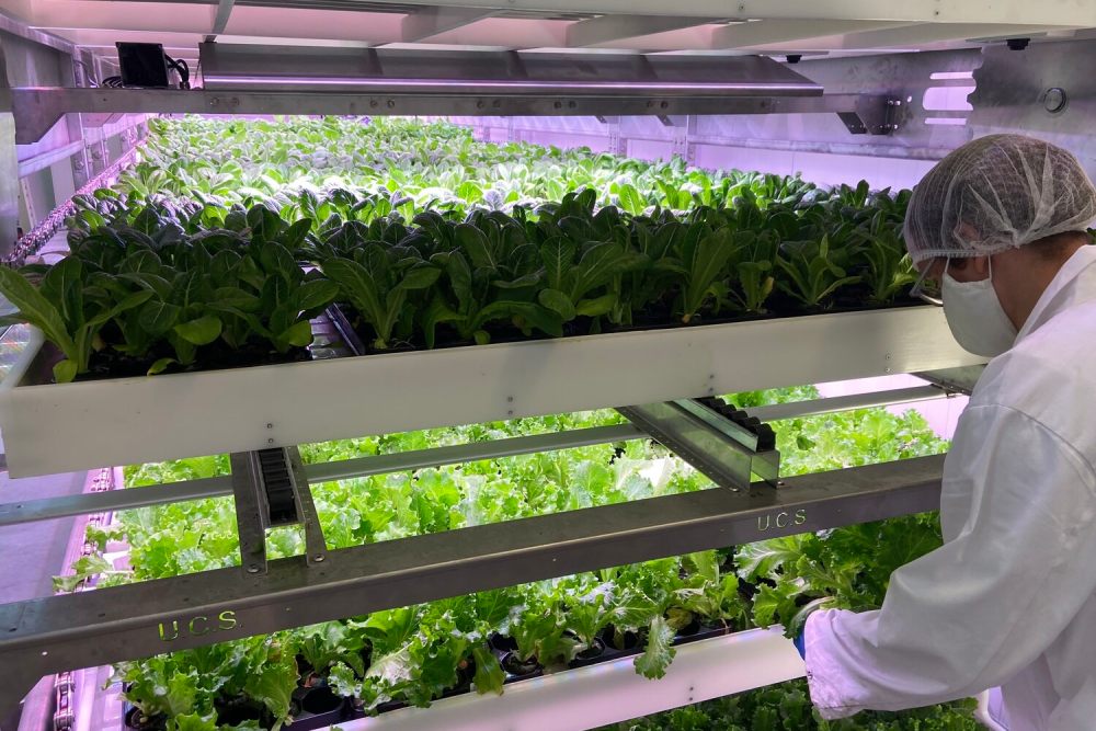 Urban Crop Solutions webinar marketing