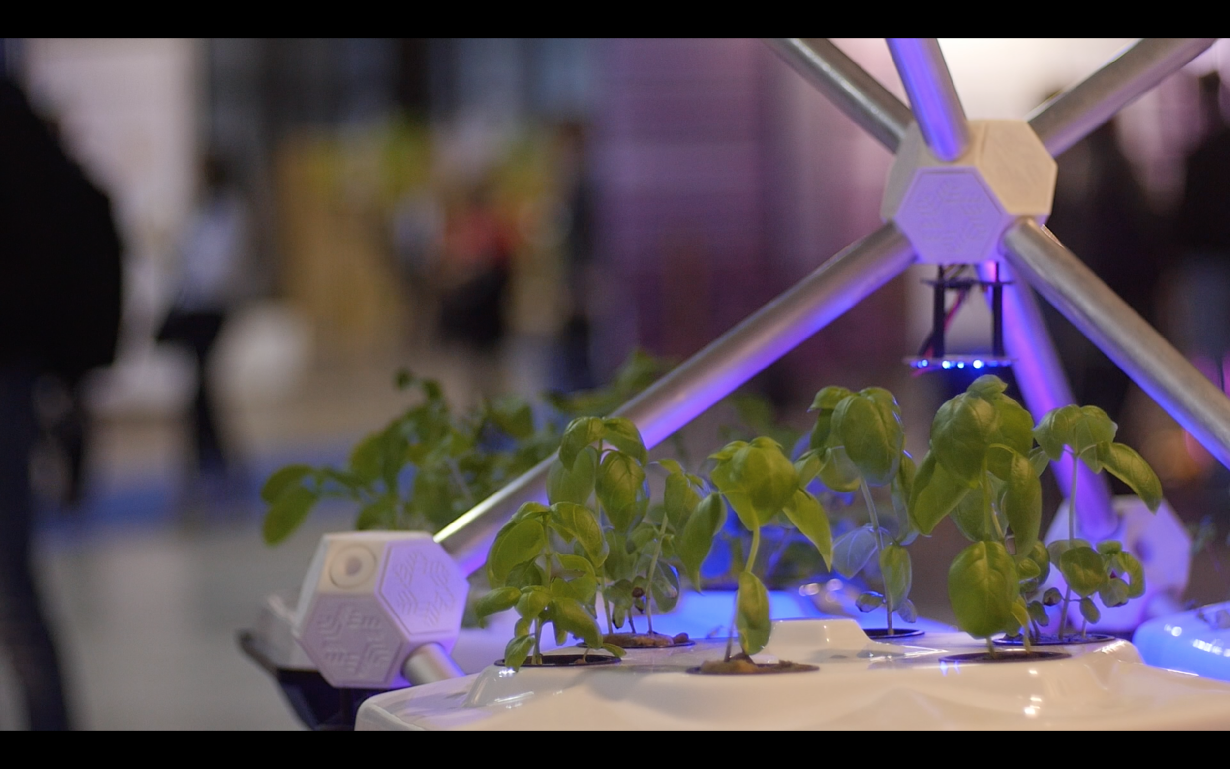 Hexagro Aeroponic