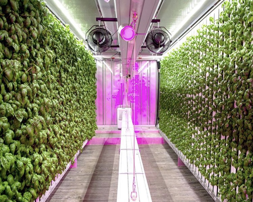 Square Roots Company Square Roots Unveils New Indoor Farm at GFS HQ
