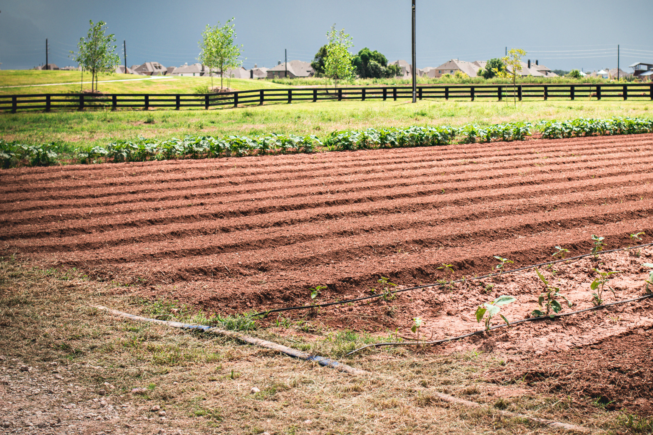Agmenity: Feeding Communities with Innovative Agriculture Amenities