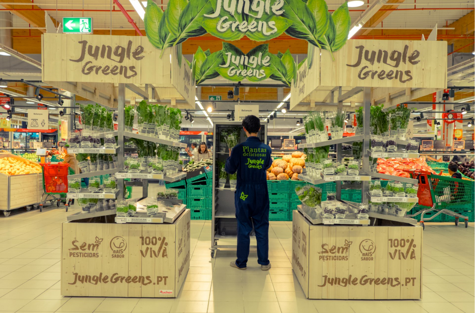 Jungle Green Live Plants 3.png