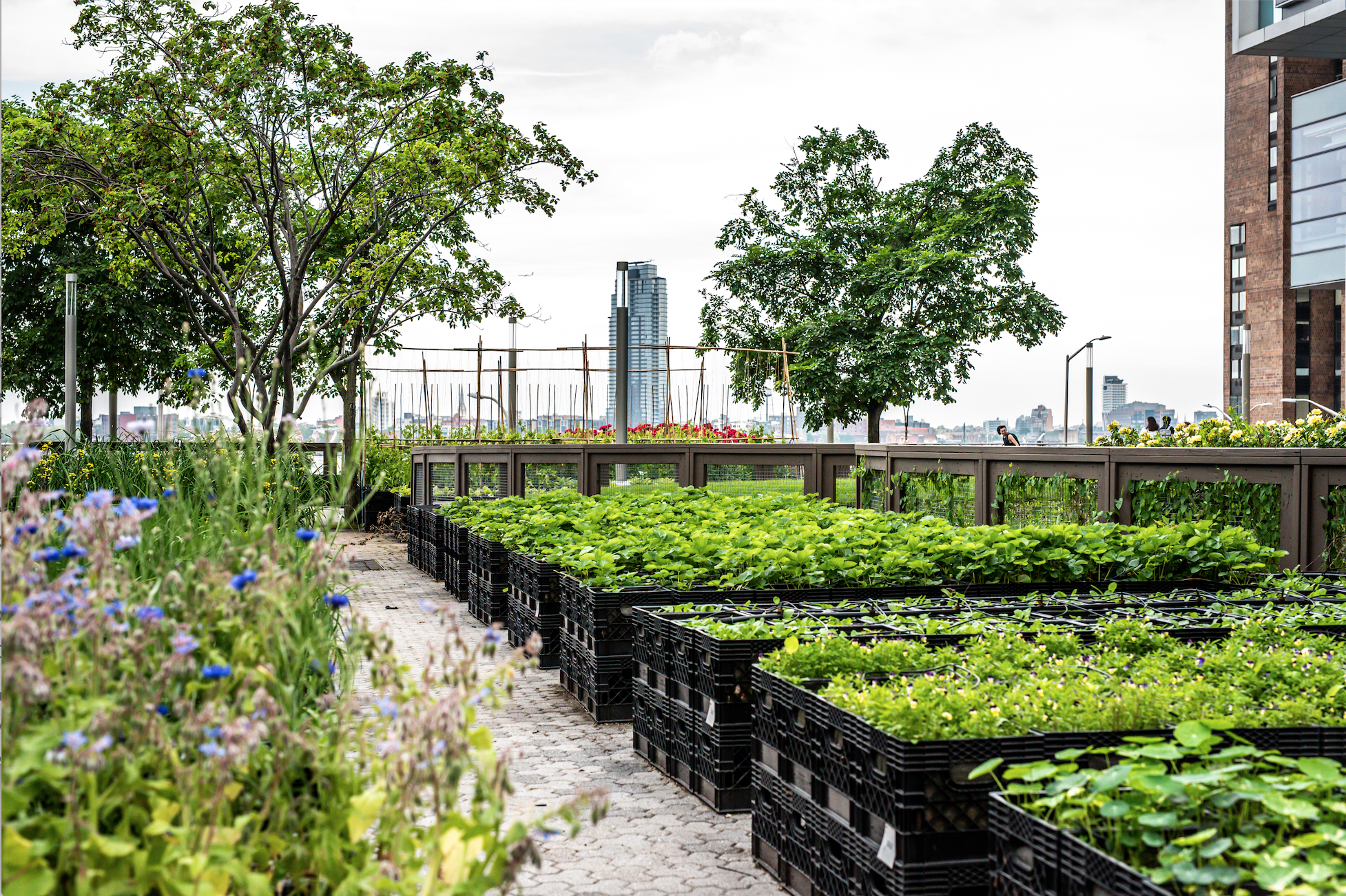 Spectrum Investment Advisors Expands Partnership with Kinship Farm
