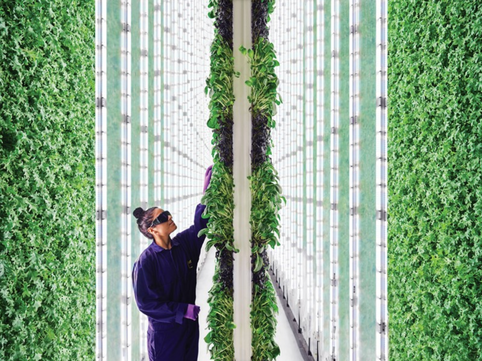 Vertical Farming: Unearthing the Promise and Challenges of Agricultural Innovation