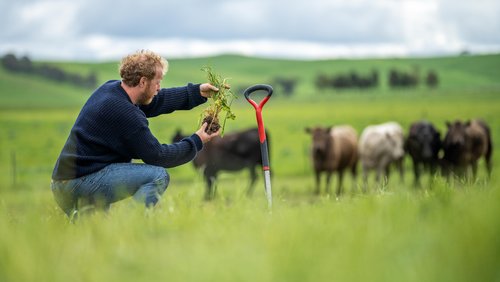How sustainable farming is paying off for Australian farmers — AGRITECTURE