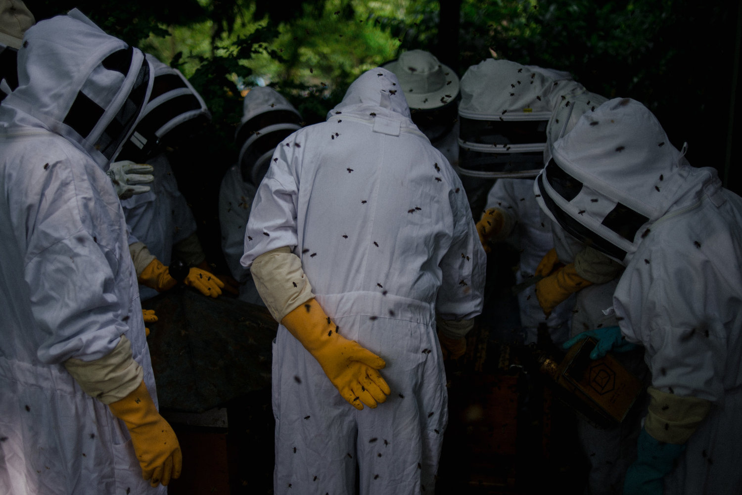  A class at the Luxembourg Gardens apiary and bee school.   