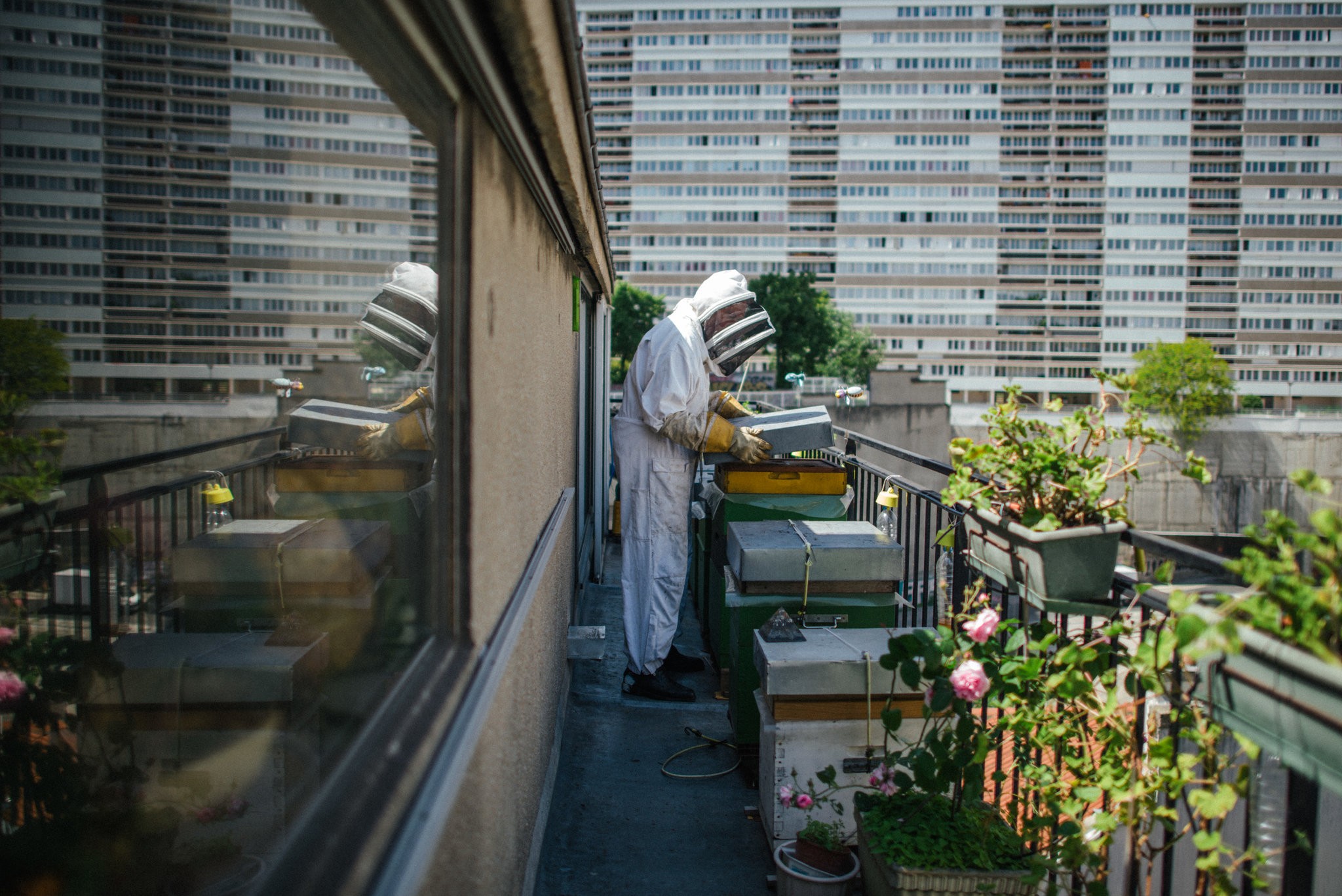  Armand Malvezin with the hives he tends on the balcony of his apartment in the 13th Arrondissement.   