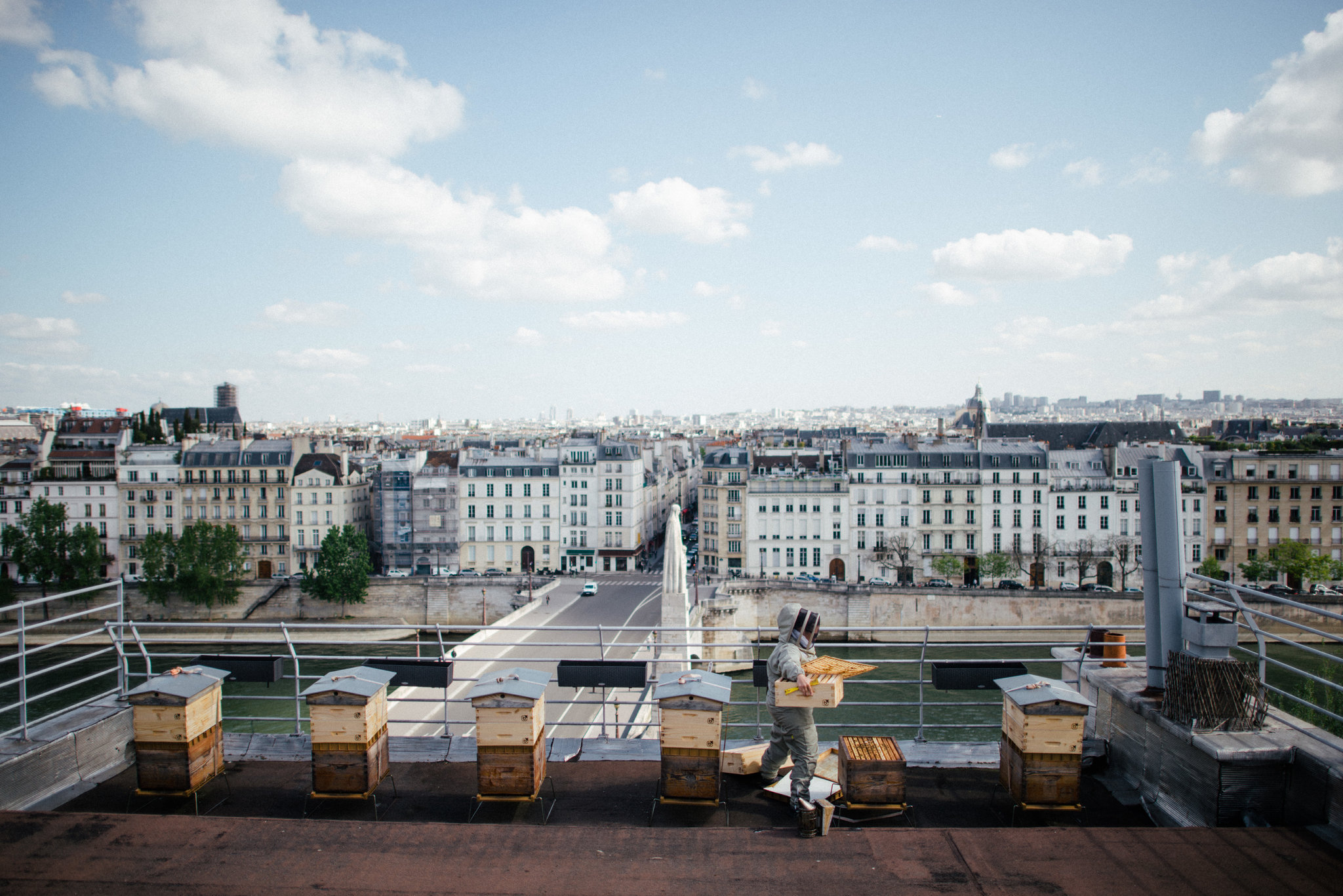  Sibyle Moulin on the roof of La Tour d’Argent restaurant, where the bee hives supply honey for some of its autumn dishes.   