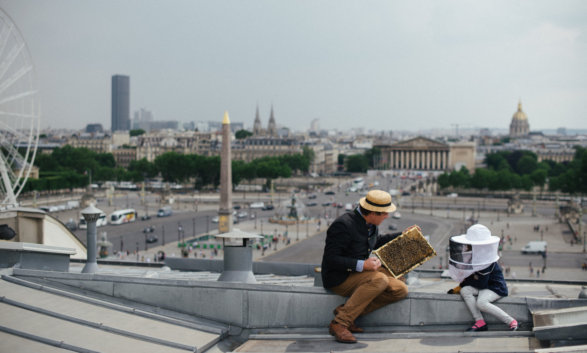  Audric de Campeau working with his daughter on his hives above the Place de la Concorde.   