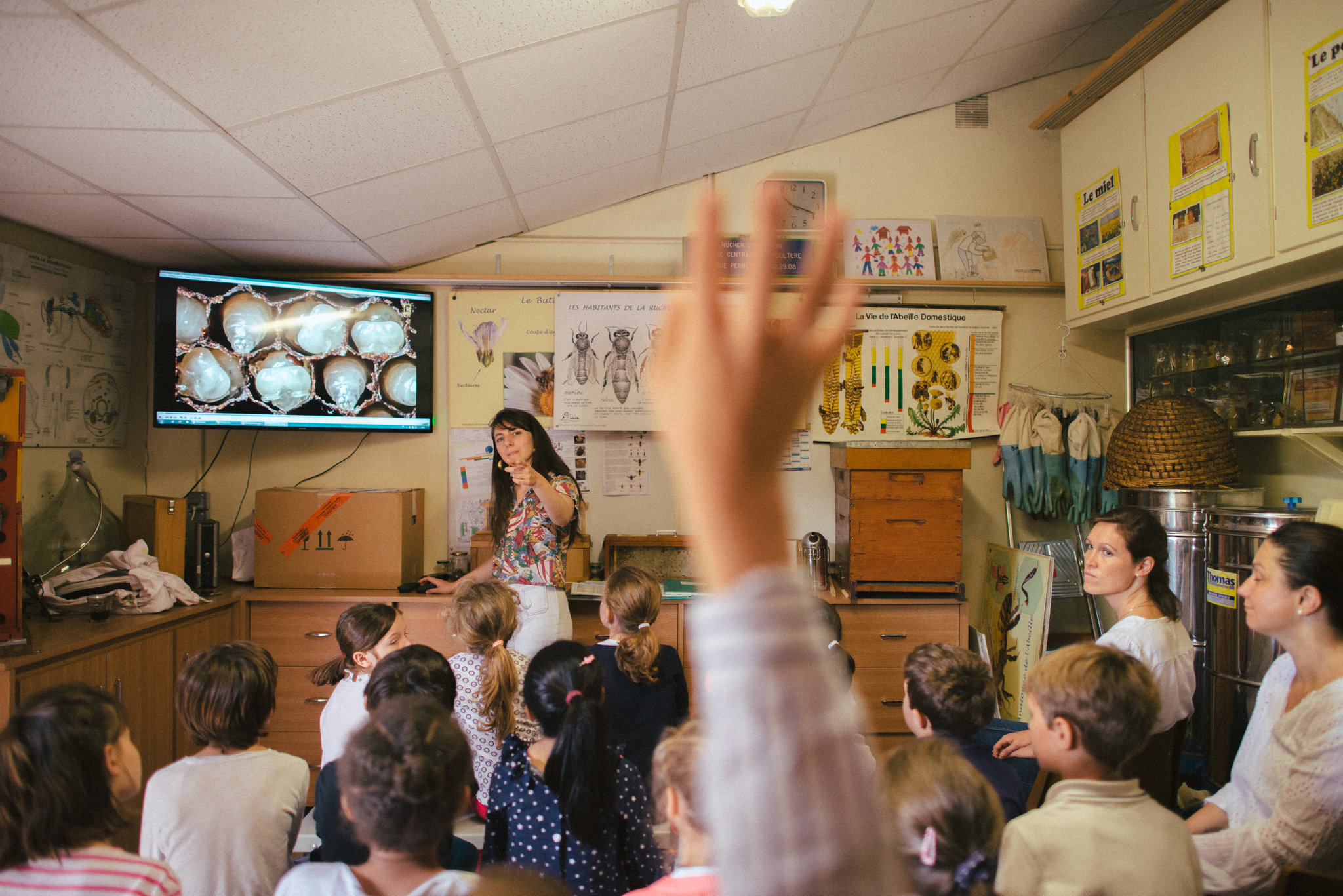  Jamie Lozoff, a beekeeper, during a lesson teaching apiculture skills to children in Paris.   