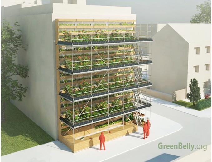 greenbelly vertical farm 2.jpg