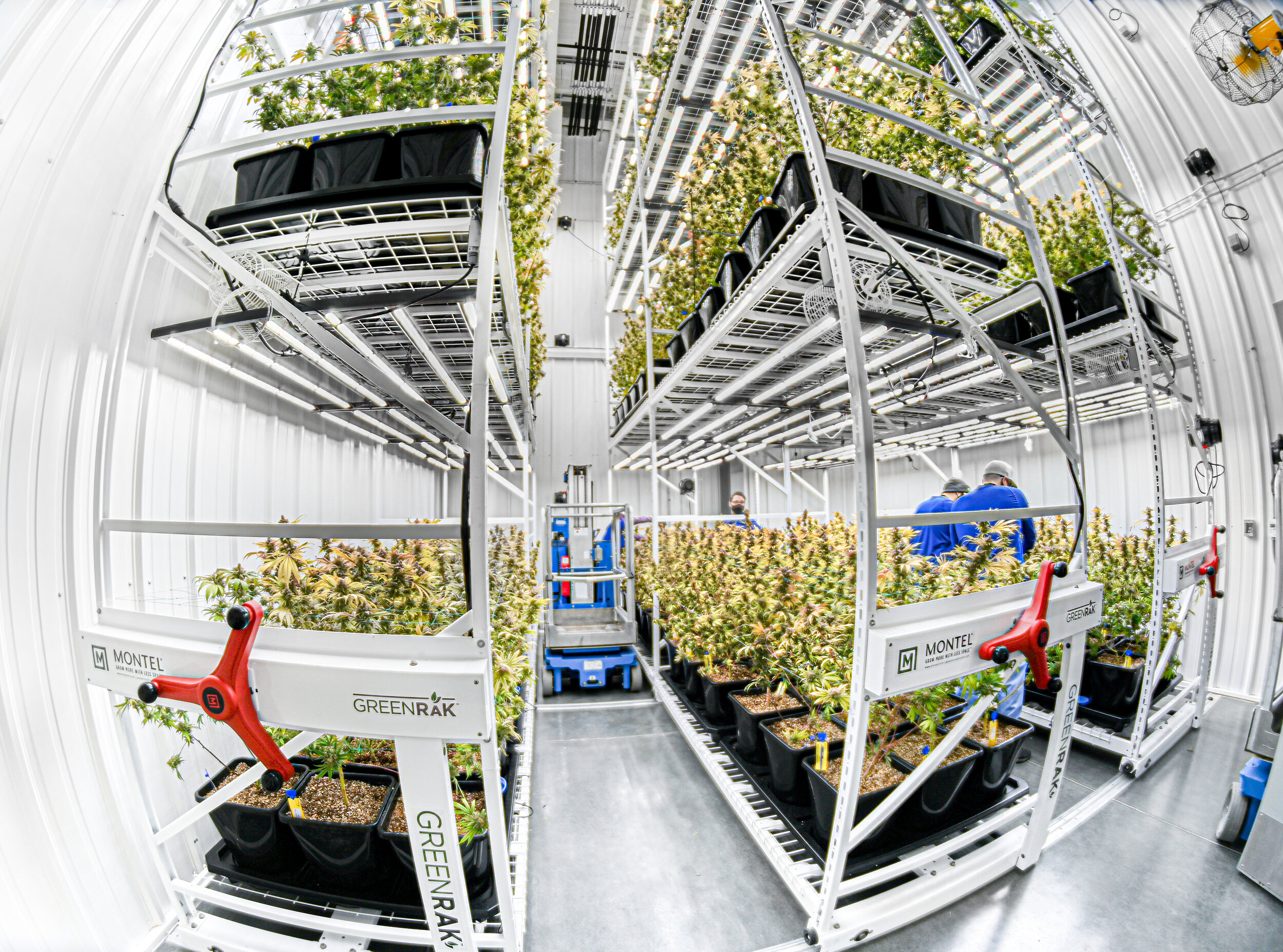From Storage Systems To Grow Rack Systems — AGRITECTURE