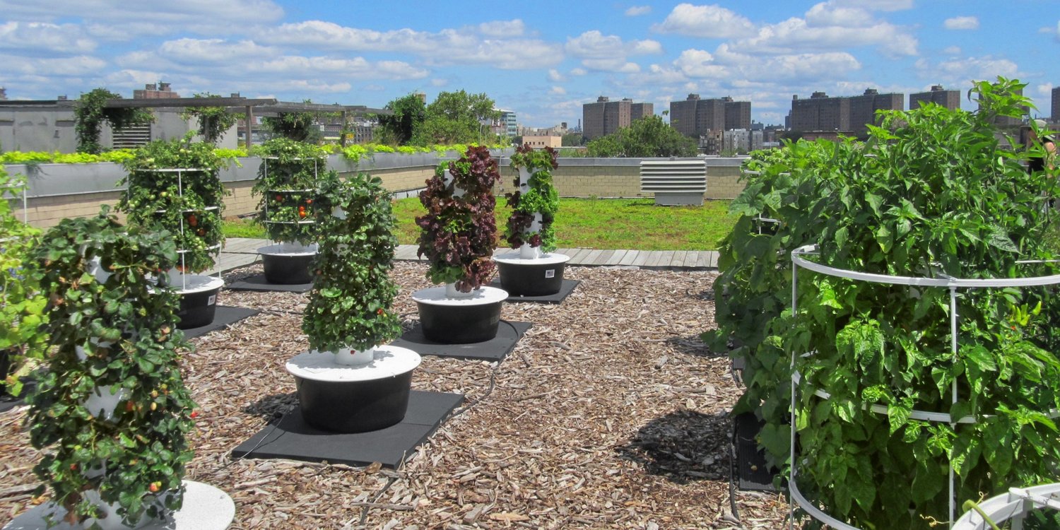 Rooftop Farming: A Smart Urban Agriculture Solution