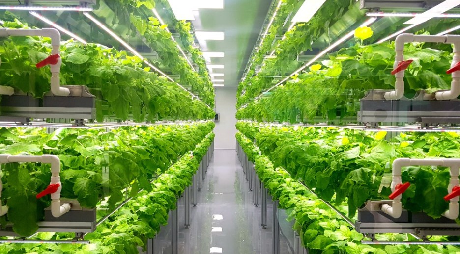 www.agritecture.com
