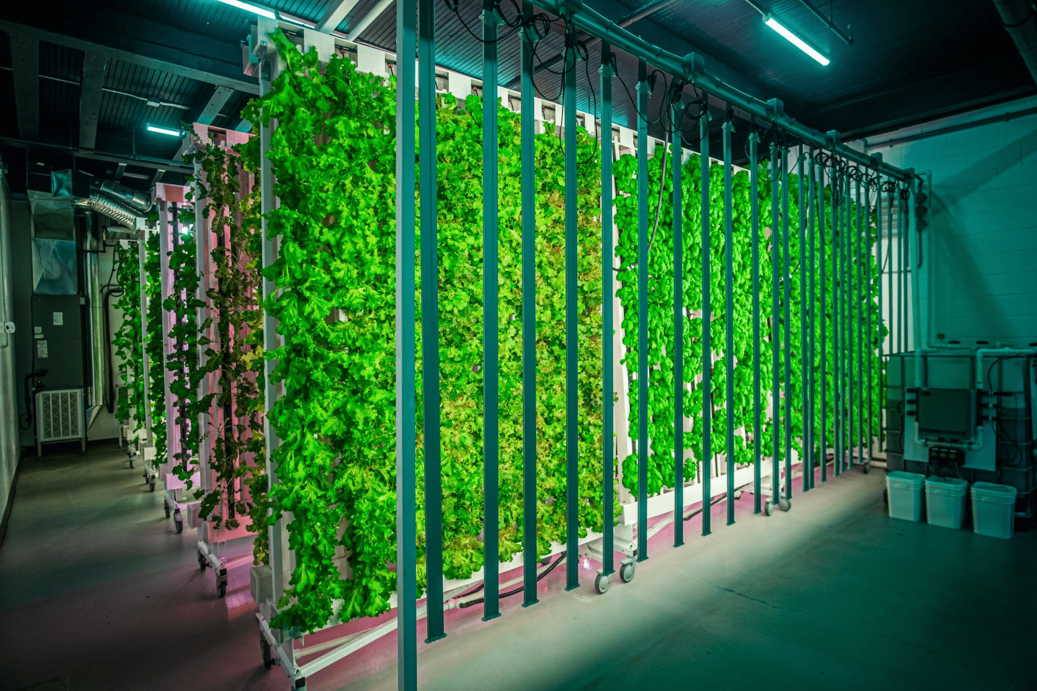 Agritecture's Partner Network Expands to 20 Members