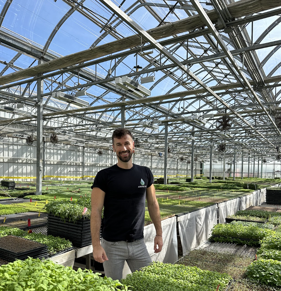 Why Start a Greenhouse Farm? 6 Benefits vs. Vertical Farms