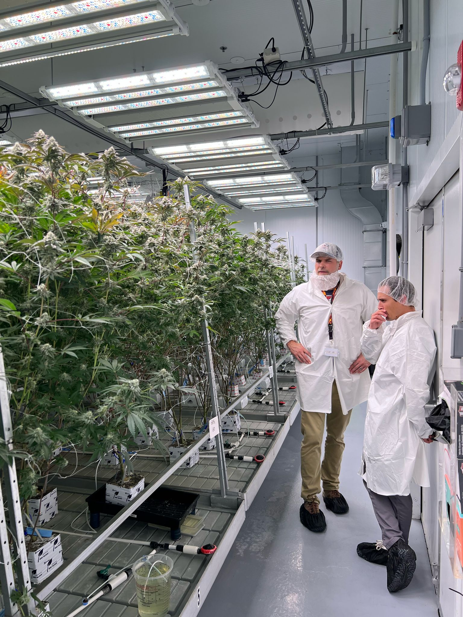 From Planning to Profitability: How Agritecture and Hydrobuilder Empower CEA Entrepreneurs