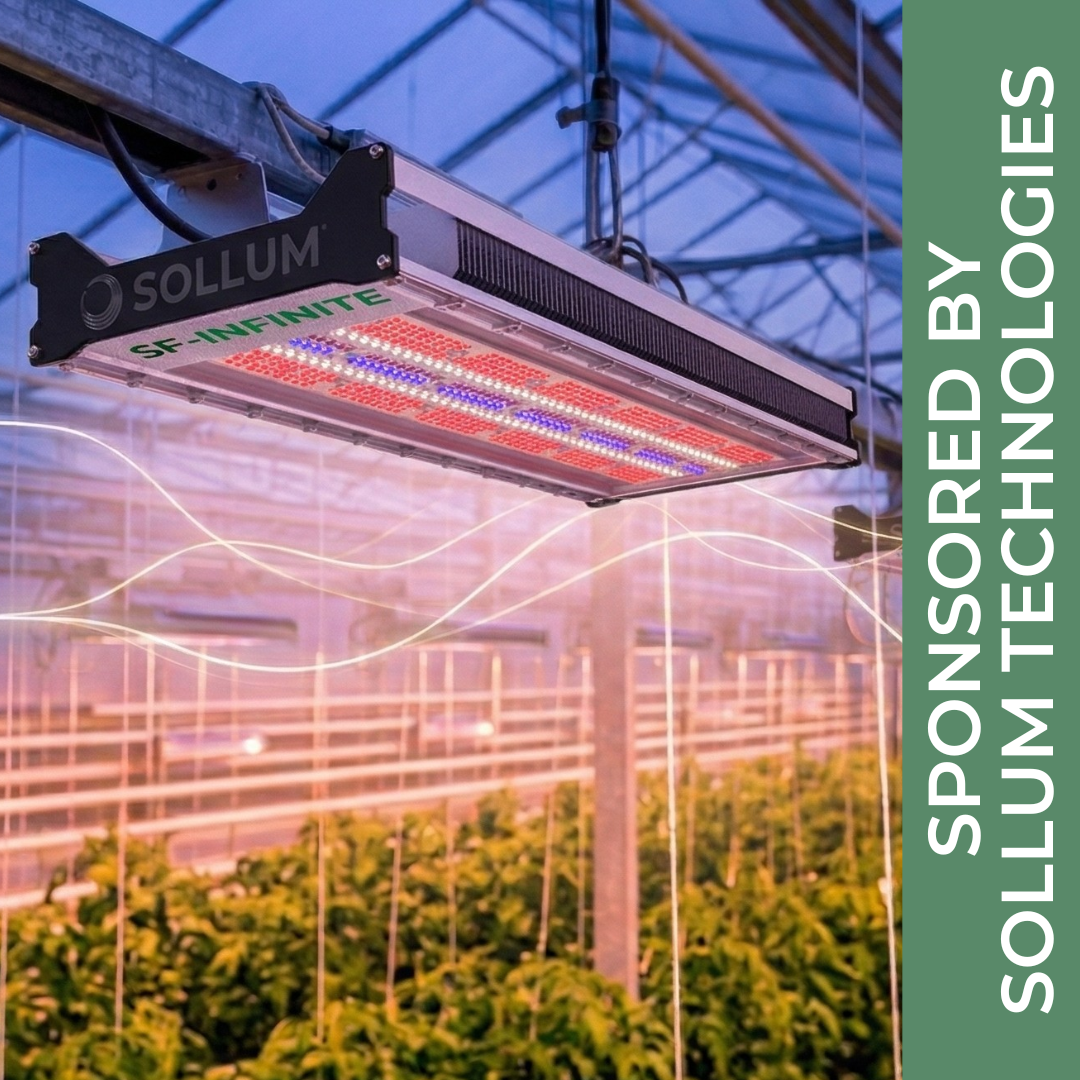 Greenhouse Lighting Evolution
