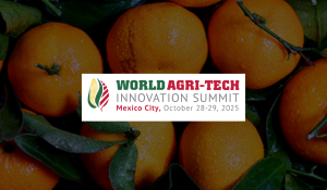World Innovation Summit - Mexico City