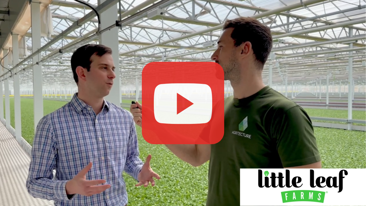 Little Leaf Farm content and brand promotion