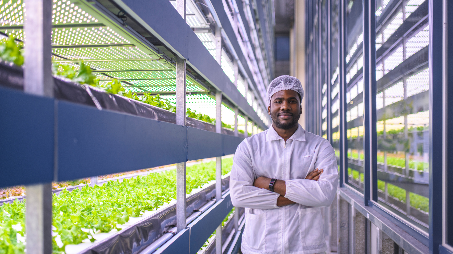 Investing in Controlled Environment Agriculture with Confidence