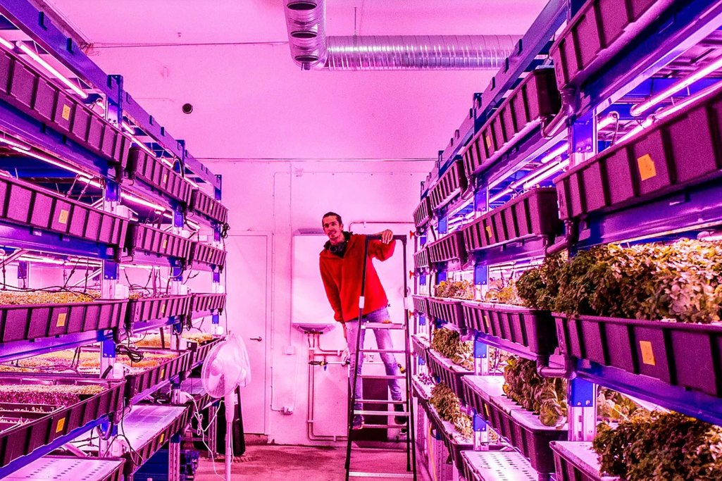 Urban Oasis vertical farm Stockholm