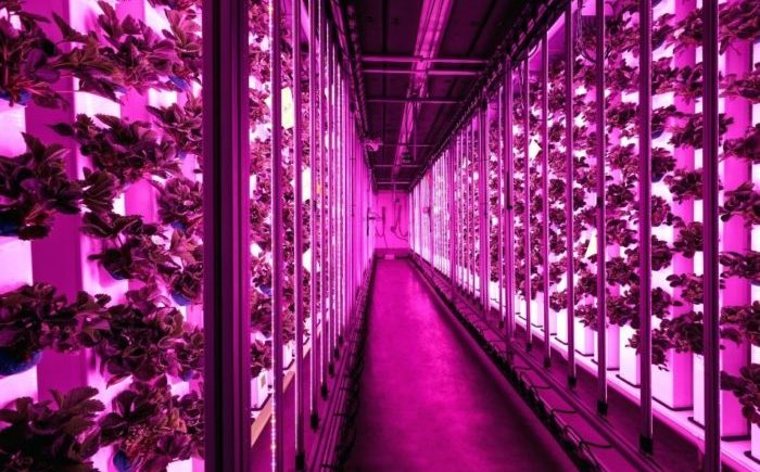 Agricool container farm review