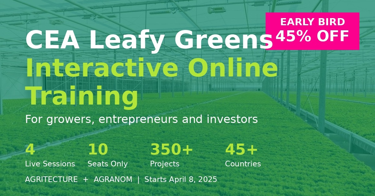 Running a CEA Farm Takes More Than Growing Great Lettuce