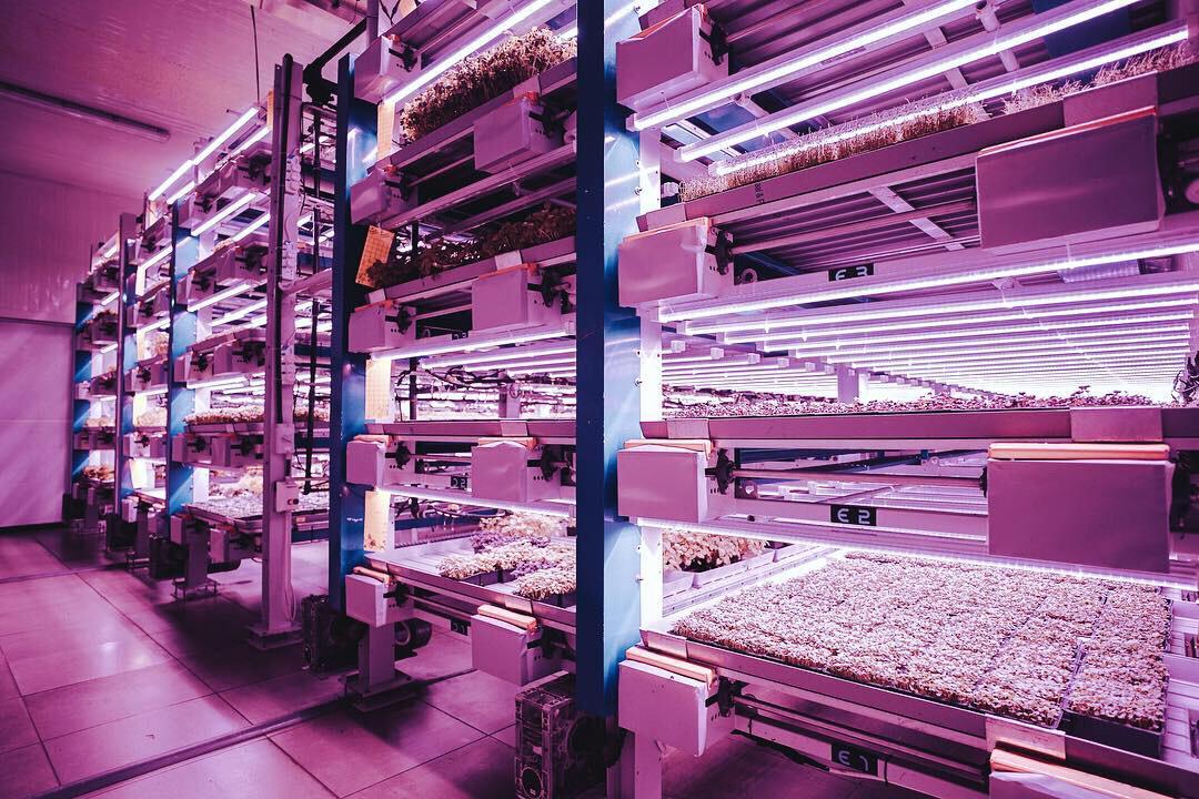 Greenhouse facility with adjacent data center, showcasing integrated CEA and energy systems planned by Agritecture