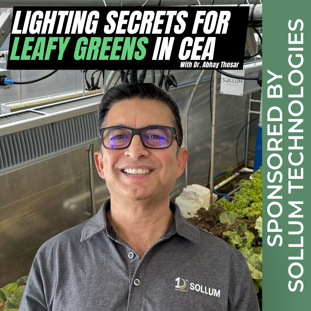 How Does LED Spectrum Affect Plant Growth in Greenhouses and Vertical Farms?