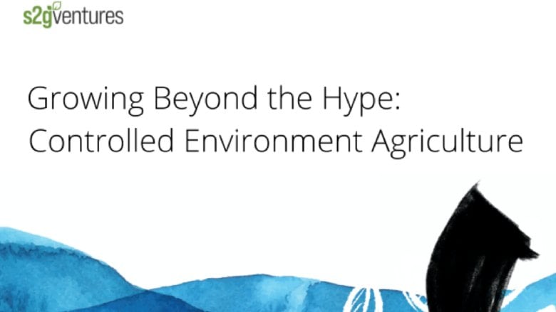 Growing Beyond the Hype: Controlled Environment Agriculture