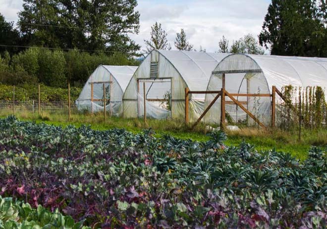 King County farm viability and equipment sharing