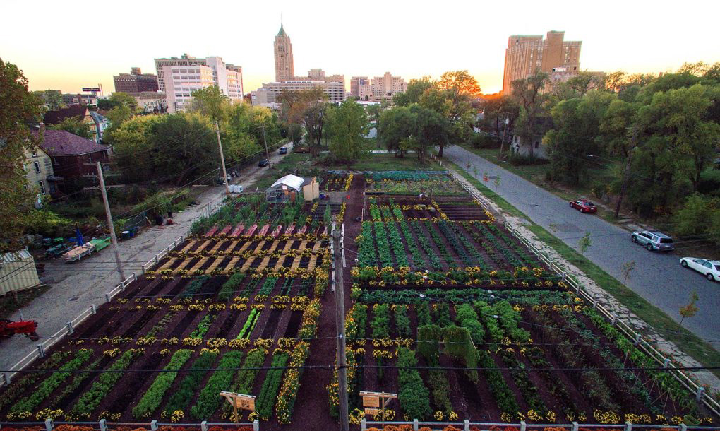 Bridging the Gap Between Smart Cities & Urban Agriculture