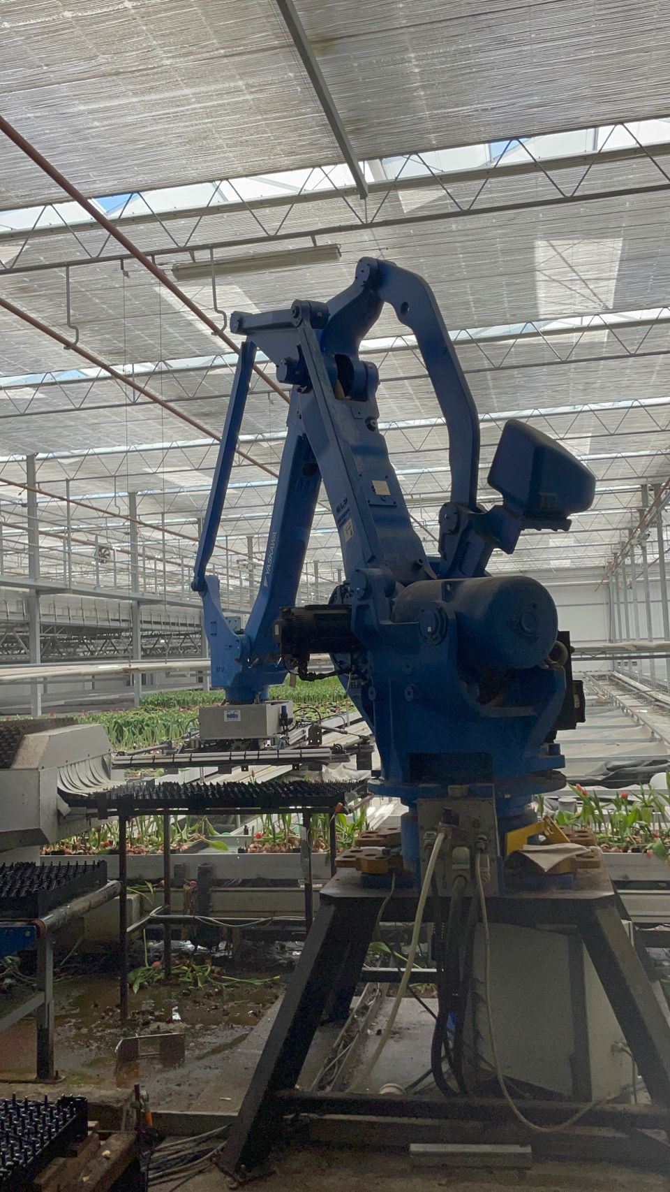Robotics and automation in controlled environment agriculture