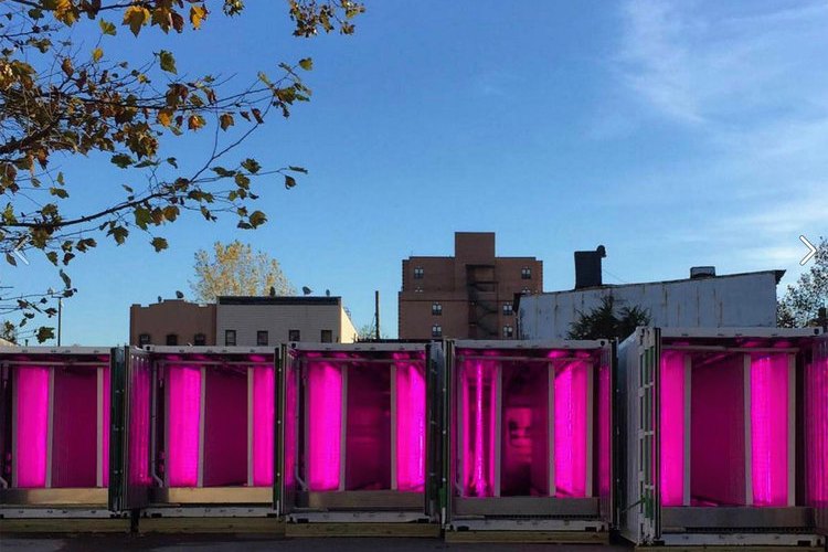 Square Roots Urban Growers