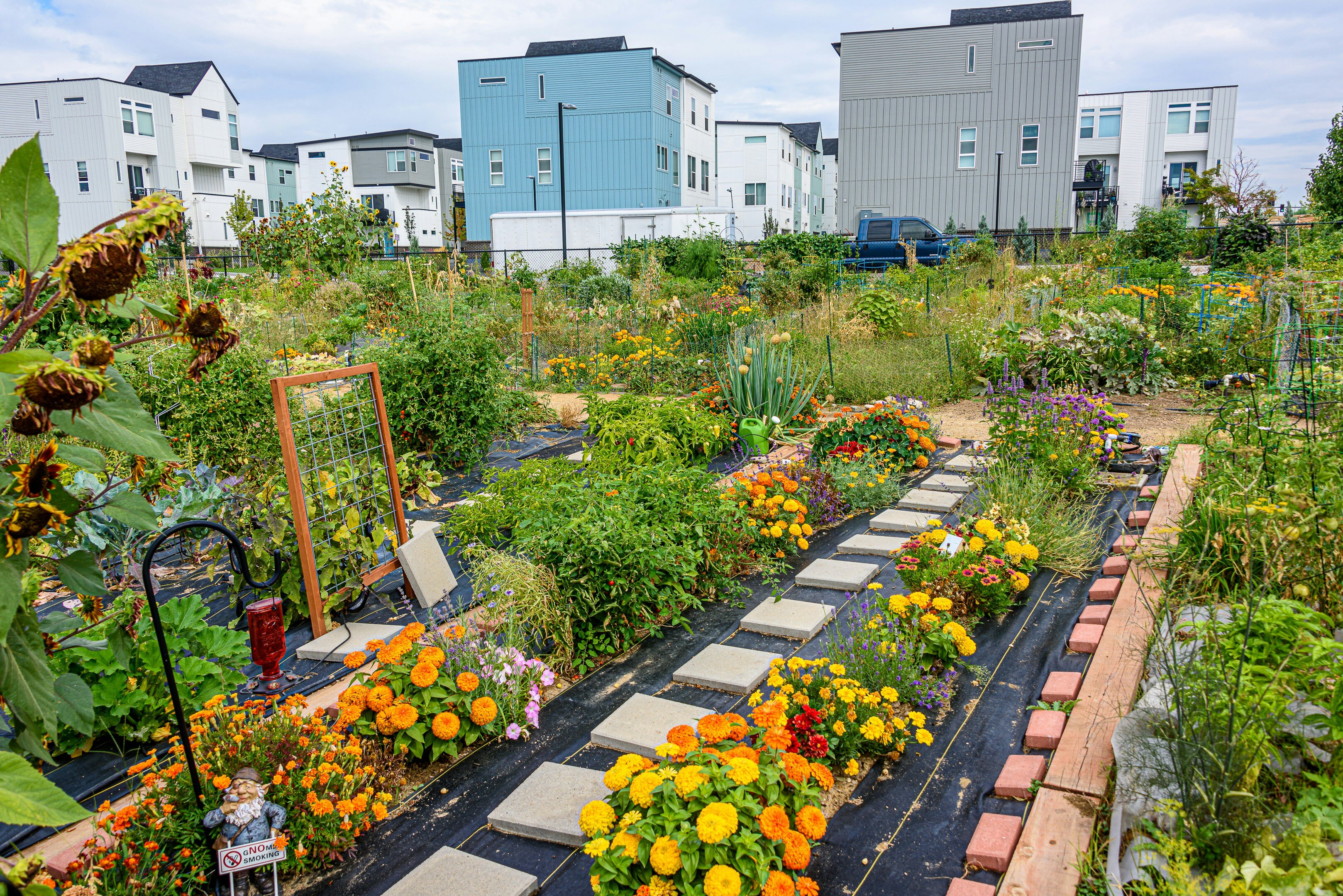 Can Community Gardens Weaken Food Insecurity Issues?