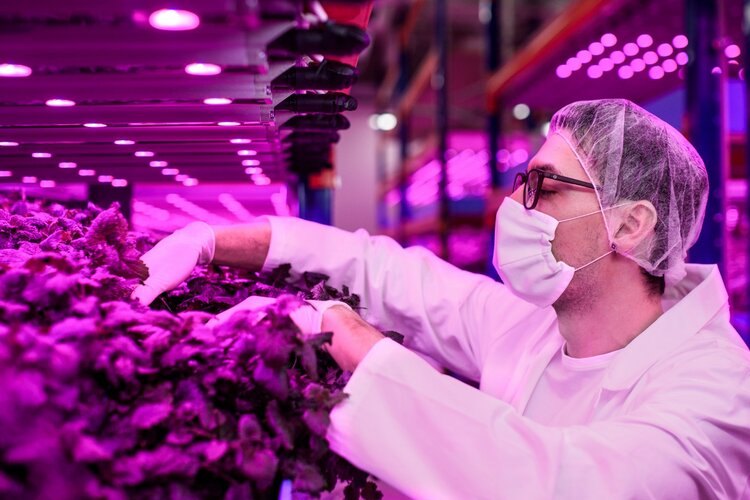 Surna HVAC CEA marketing