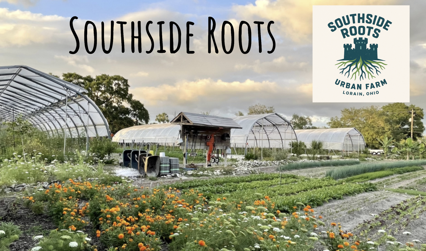 How Lorain, Ohio Built Its First Urban Agriculture Plan
