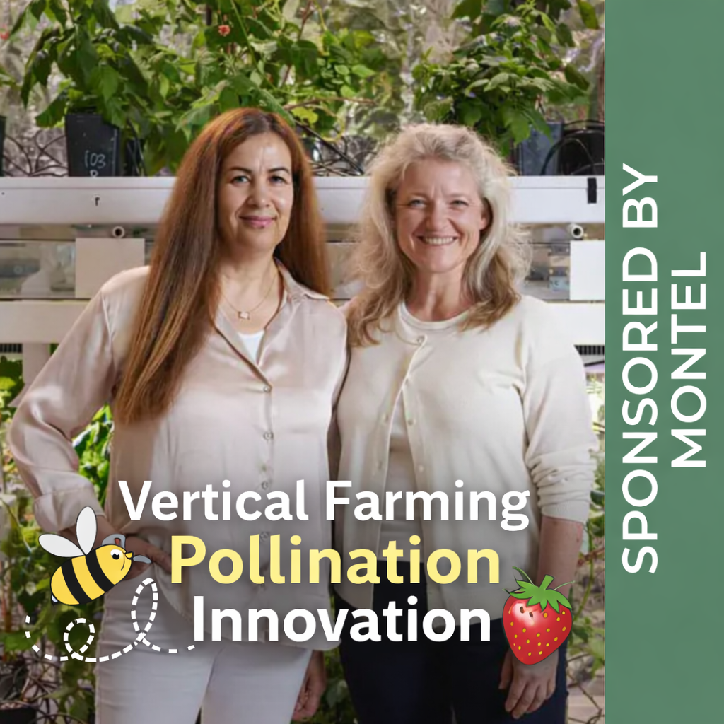 How Montel and MoFarm are pushing the boundaries of Vertical Farming